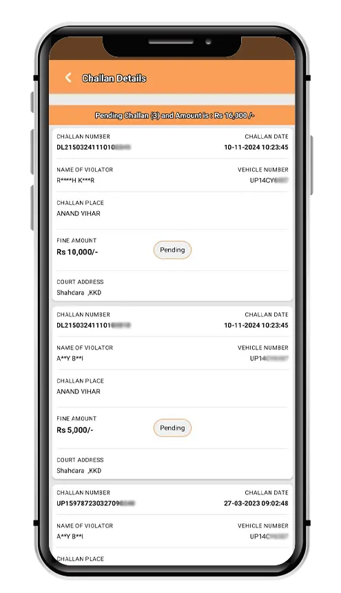View e-Challan Details